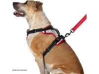 Nathan Reflective Dog Harness - K9 Series