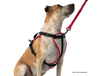 Nathan Reflective Dog Harness - K9 Series