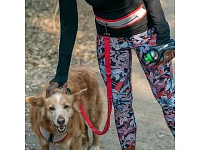 Nathan Waist Belt + Dog Leash - K9 Series