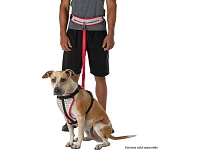 Nathan Waist Belt + Dog Leash - K9 Series