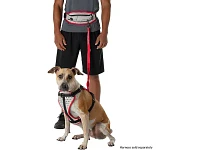 Nathan Waistpack + Dog Leash - K9 Series