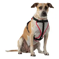 Nathan Reflective Dog Harness - K9 Series