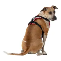 Nathan Reflective Dog Harness - K9 Series