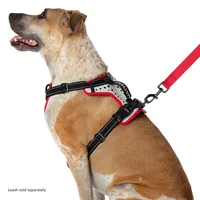 Nathan Reflective Dog Harness - K9 Series