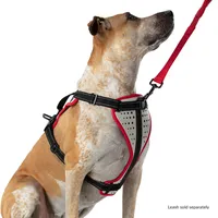 Nathan Reflective Dog Harness - K9 Series