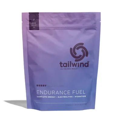 Tailwind Nutrition Endurance Fuel Serving