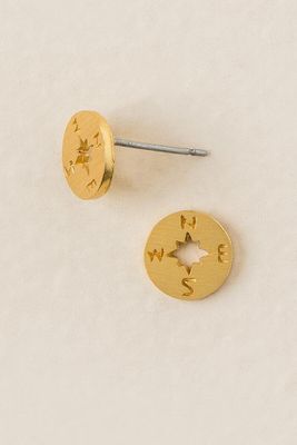 Compass Brushed Stud Earring