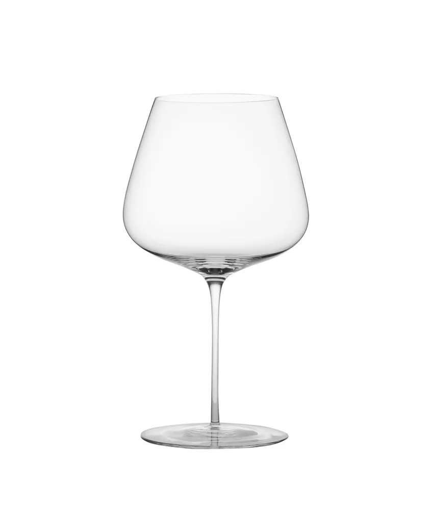 The Aromatic 2-Pack Wine Glasses
