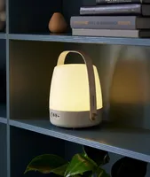 Lite-Up LED Lamp