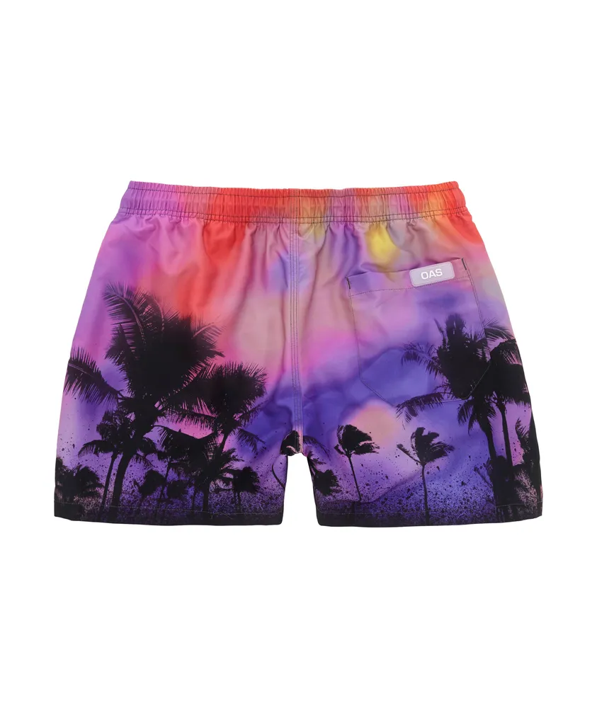 Mystic Palm Swim Shorts