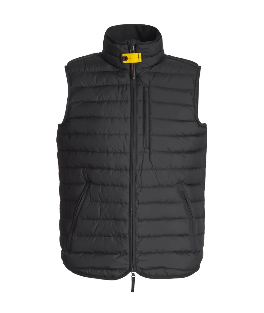 Perfect Down-Filled Techincal Vest