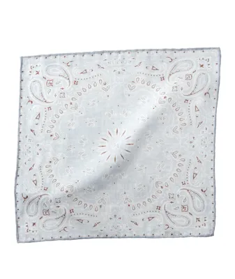 Platinum Collection Paisley Wool-Cotton Pocket Square