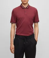 Stripe Tipped Mercerized Cotton Polo