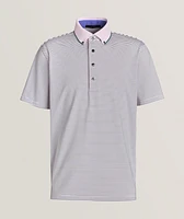 Striped Button-Down Collar Polo