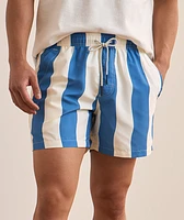 Waver Stripe Swim Shorts
