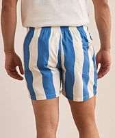 Waver Stripe Swim Shorts