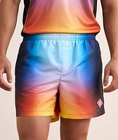 Gradient Swim Shorts