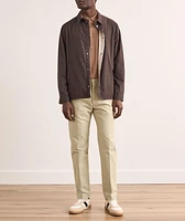 Brushed Cotton Satin Chinos