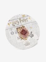 Harry Potter Marauder's Map Lapel Pin