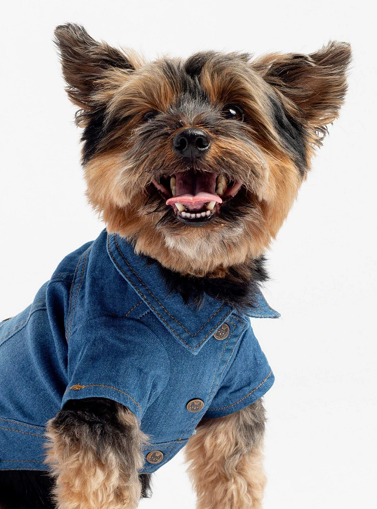 Dusten Dog Jacket