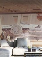 Star Wars Ralph Mcquarrie's Star Wars Docking Bay Millennium Falcon Peel & Stick Mural