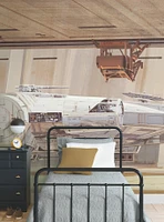 Star Wars Ralph Mcquarrie's Star Wars Docking Bay Millennium Falcon Peel & Stick Mural