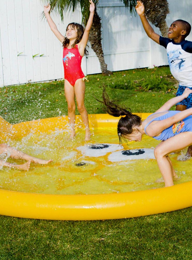 Blowfish Splash Pad