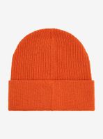 Avatar: The Last Airbender Air Nomads Embroidered Cuff Beanie - BoxLunch Exclusive