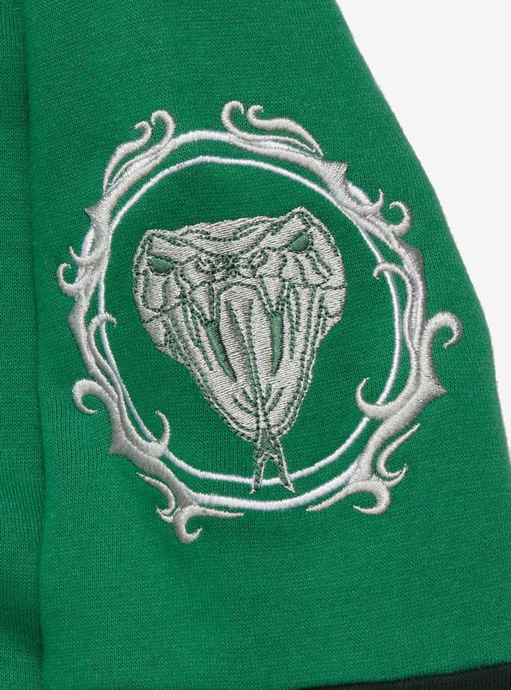 Harry Potter Slytherin Crest Panel Hoodie - BoxLunch Exclusive