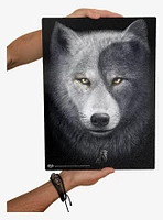 Wolf Chi Glass Chopping Board