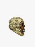 Decorative Mummy Skull