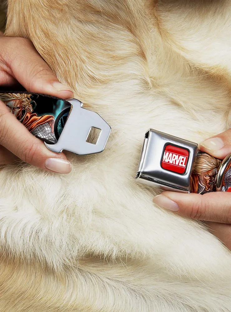 Marvel Thor Astonishing 3 Poses Hammer Logo Seatbelt Buckle Dog Collar
