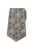 Star Wars Battle of Hoth Paisley Gray Men's Tie