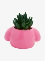 Sanrio My Melody Faux Succulent Planter