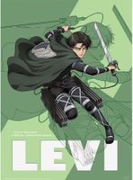 Attack On Titan Mikasa and Levi Boxed Poster Set