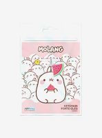 Molang Watermelon and Avocado Keychain Bundle