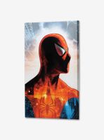 Marvel Spider-Man Headshot Canvas Wall Decor