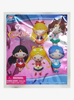 Pretty Guardian Sailor Moon Characters Series 5 Blind Bag Magnet