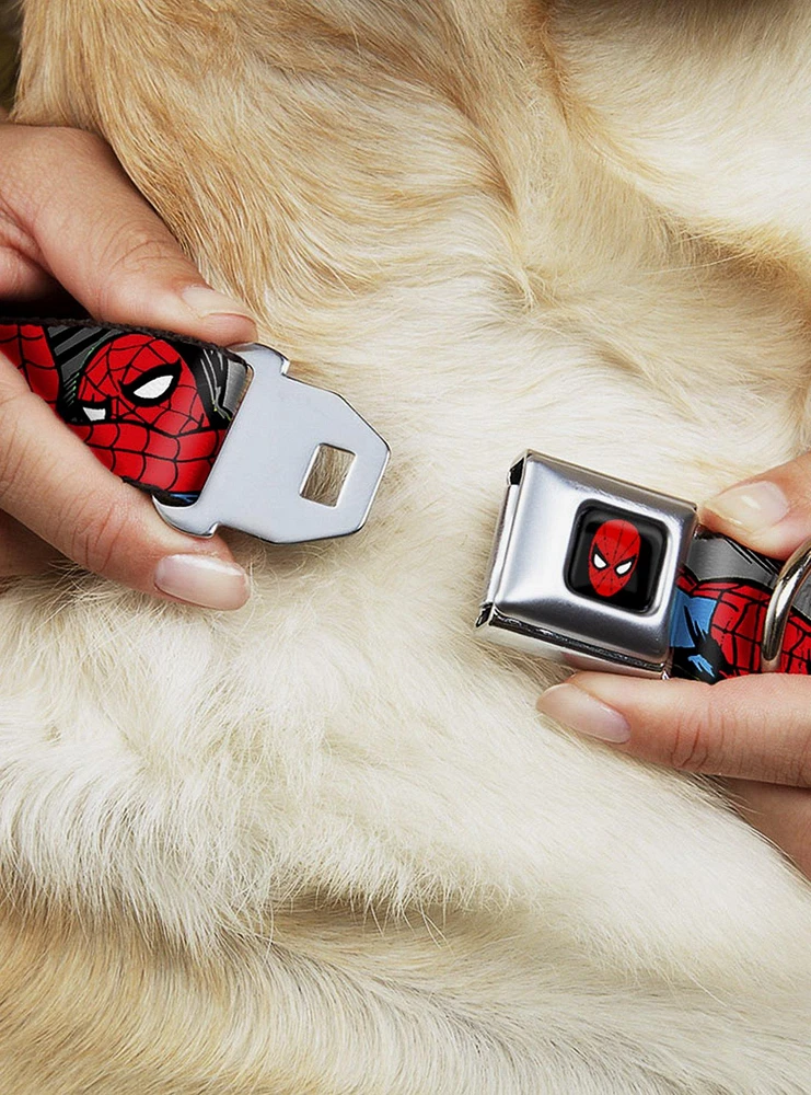 Marvel Spider-Man Action Verbiage Seatbelt Buckle Dog Collar