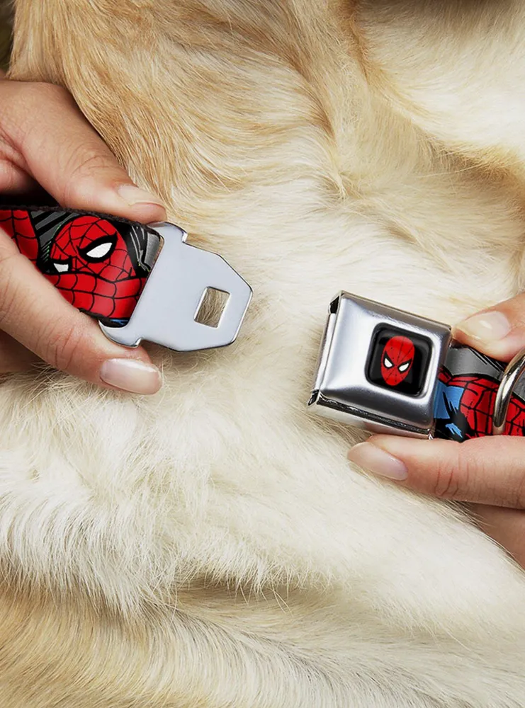 Marvel Spider-Man Action Verbiage Seatbelt Buckle Pet Collar