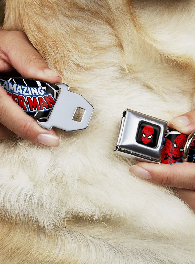 Marvel Spider-Man Action Seatbelt Buckle Pet Collar