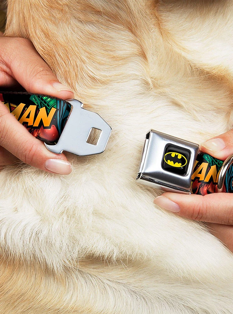 DC Comics Justice League Batman Robin Action Text Seatbelt Buckle Pet Collar