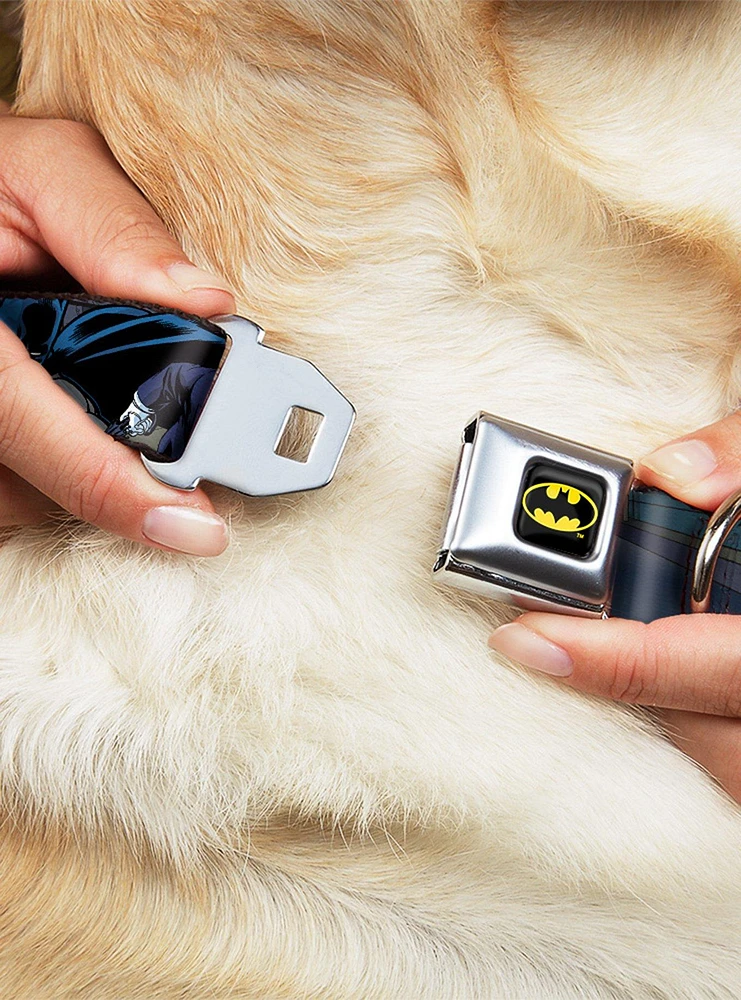 DC Comics Justice League Batman Battling Villains Tunnel Seatbelt Buckle Pet Collar