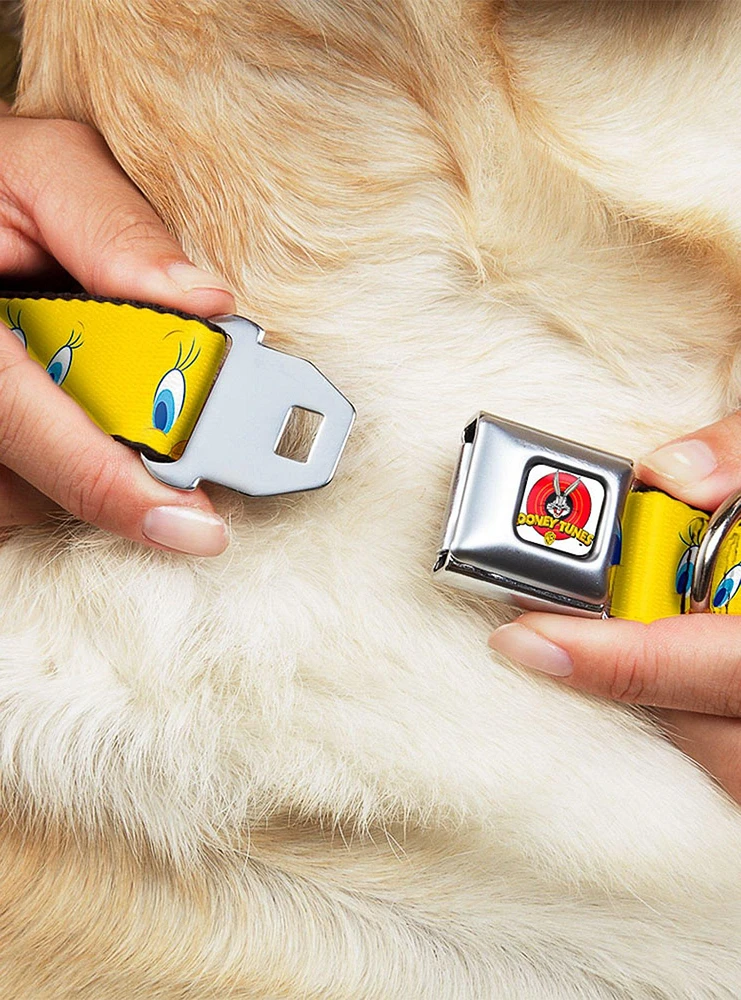 Looney Tunes Tweety Bird Expressions 2 Seatbelt Buckle Dog Collar