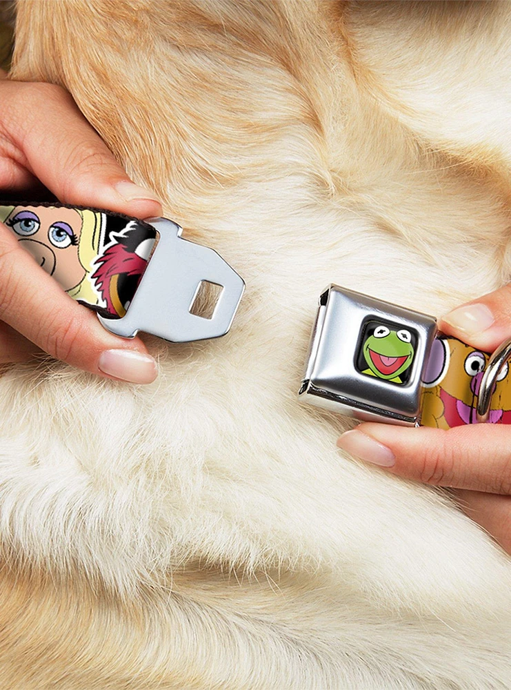 Disney The Muppets Close Up Black Seatbelt Buckle Dog Collar