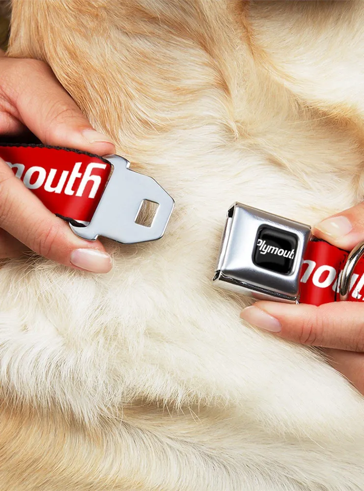Plymouth Text Logo Seatbelt Buckle Dog Collar