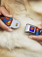 DC Comics Justice League Super Shield Diagonal Royal Seatbelt Buckle Dog Collar