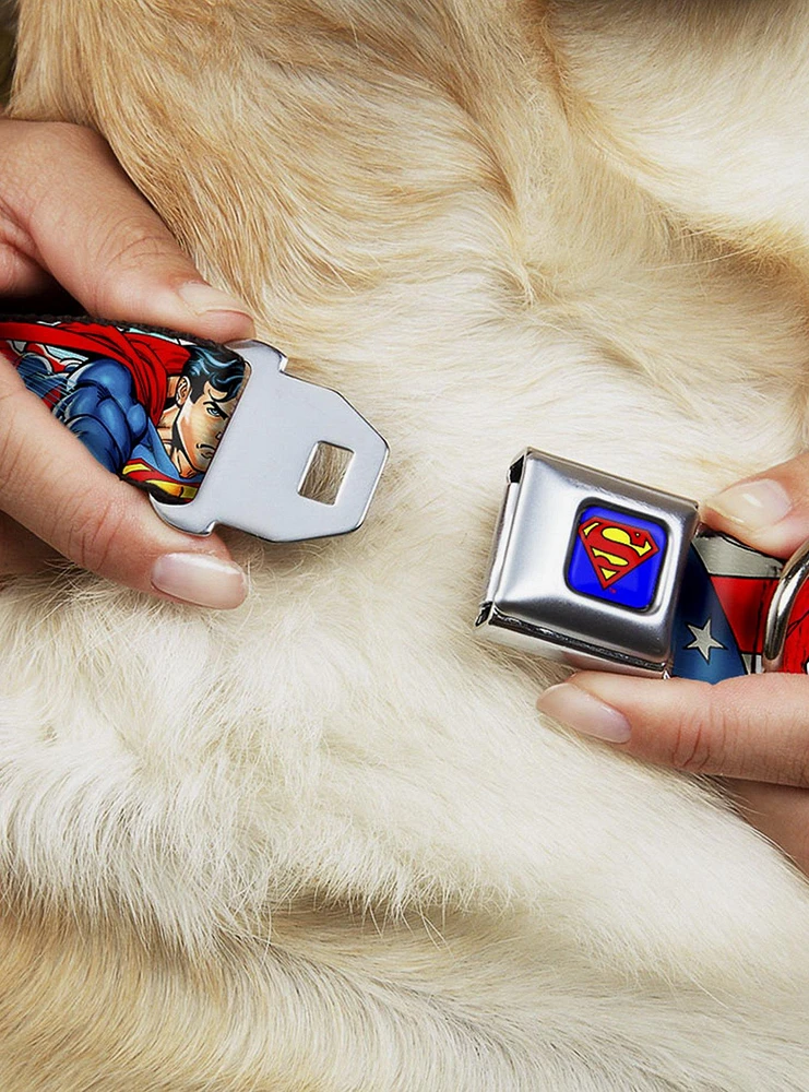 DC Comics Justice League Superman Action Poses Stars Stripes Seatbelt Buckle Dog Collar