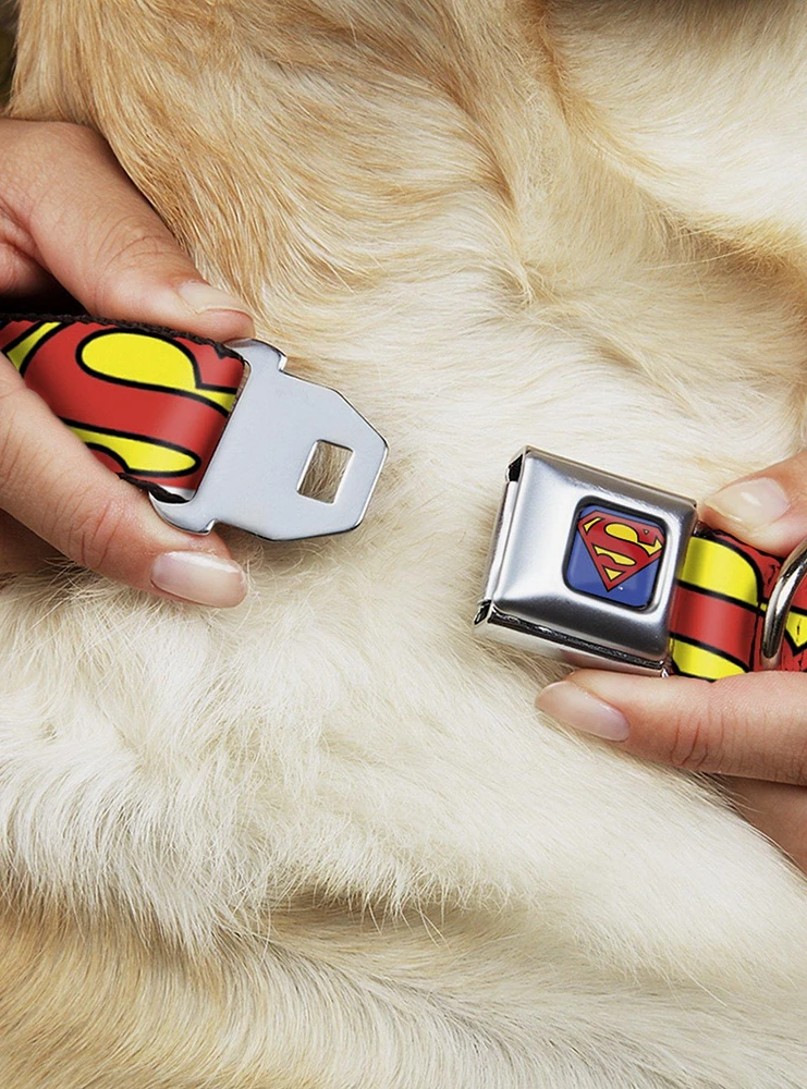 DC Comics Justice League Superman Shield Close Up Blue Red Yellow Seatbelt Buckle Dog Collar