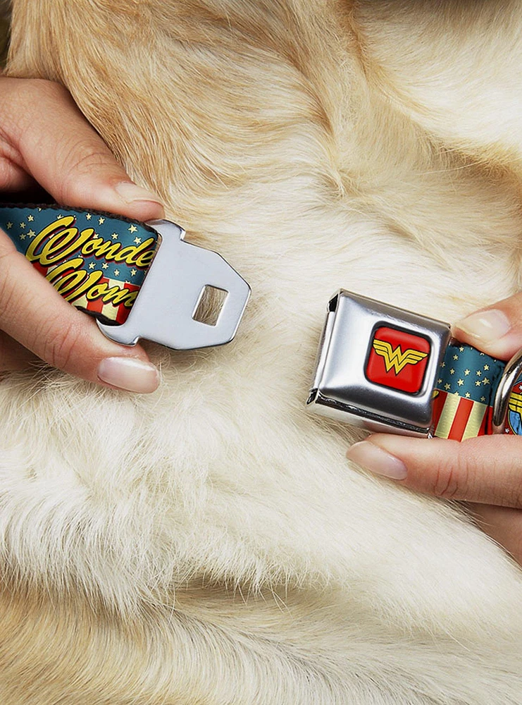DC Comics Justice League Wonder Woman Logo Americana Seatbelt Buckle Dog Collar